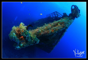 Wreck at 40 mts. by Natasha Maksymenko 